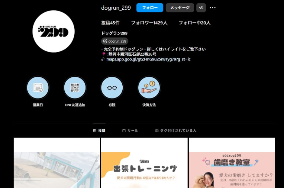 dogrun_299